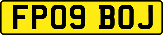 FP09BOJ