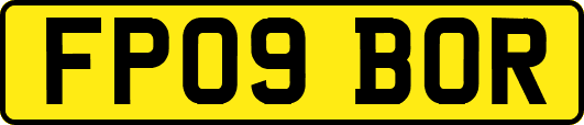 FP09BOR