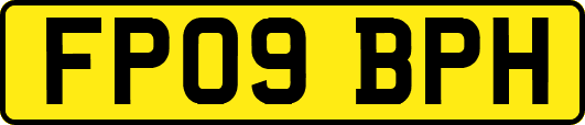FP09BPH
