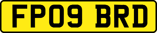 FP09BRD