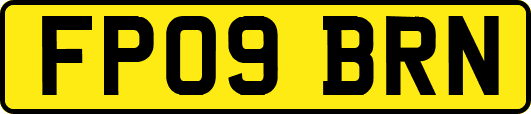 FP09BRN