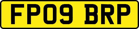 FP09BRP