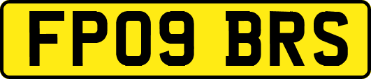 FP09BRS