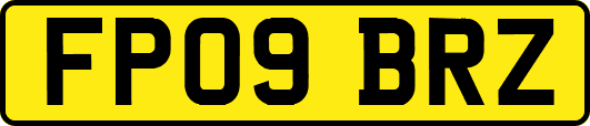 FP09BRZ
