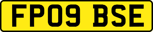 FP09BSE