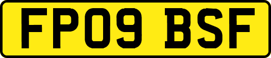 FP09BSF