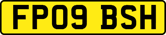 FP09BSH