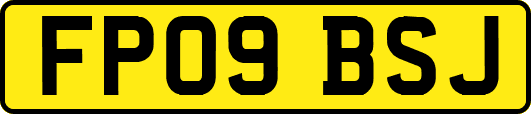 FP09BSJ