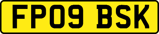 FP09BSK