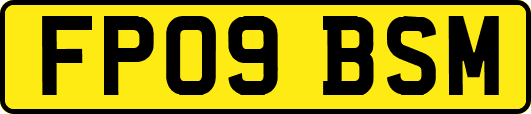 FP09BSM
