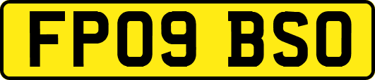 FP09BSO