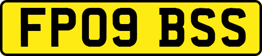FP09BSS
