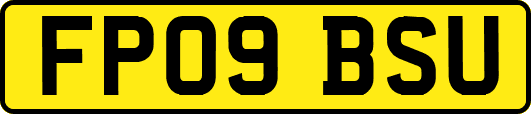 FP09BSU