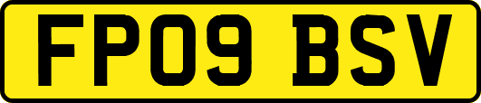 FP09BSV