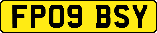 FP09BSY