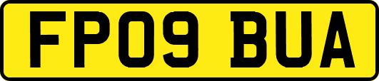 FP09BUA