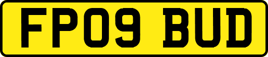 FP09BUD
