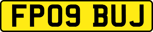 FP09BUJ