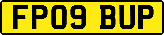 FP09BUP