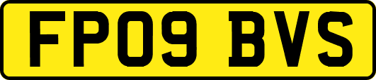 FP09BVS