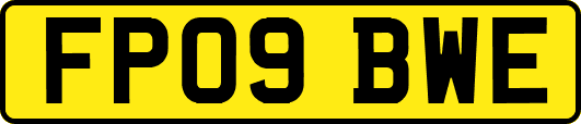 FP09BWE
