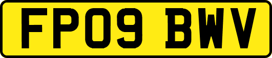FP09BWV