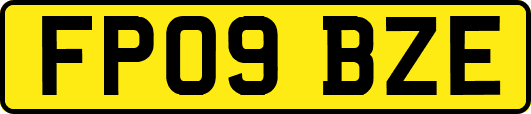 FP09BZE