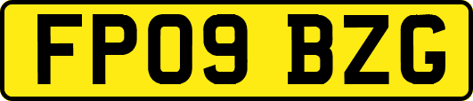 FP09BZG