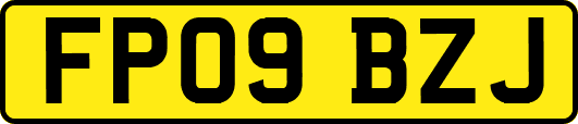 FP09BZJ