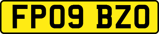 FP09BZO