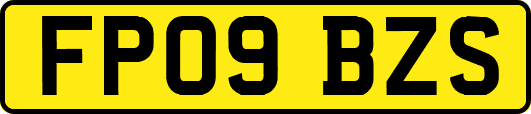FP09BZS