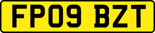 FP09BZT