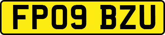 FP09BZU