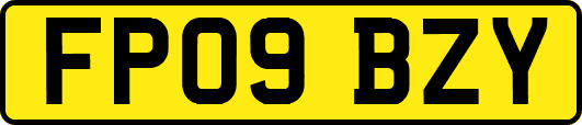 FP09BZY