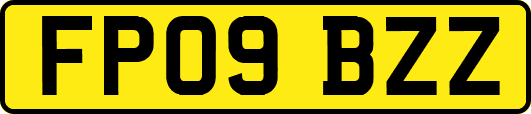 FP09BZZ