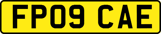 FP09CAE