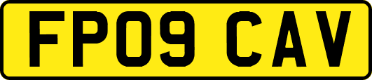 FP09CAV