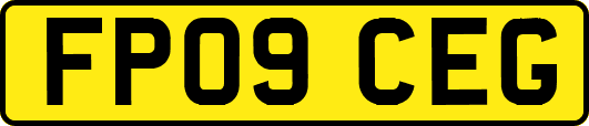 FP09CEG
