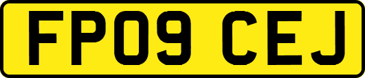 FP09CEJ