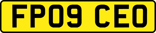FP09CEO