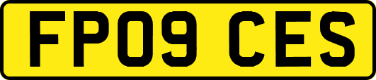 FP09CES