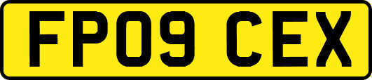 FP09CEX