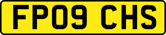 FP09CHS