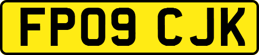 FP09CJK