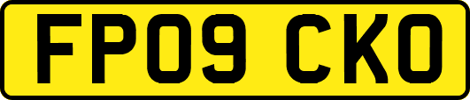 FP09CKO