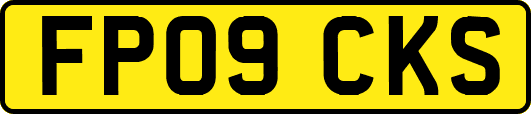 FP09CKS