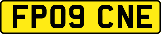 FP09CNE