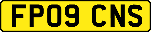 FP09CNS