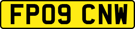 FP09CNW