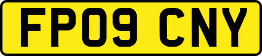 FP09CNY